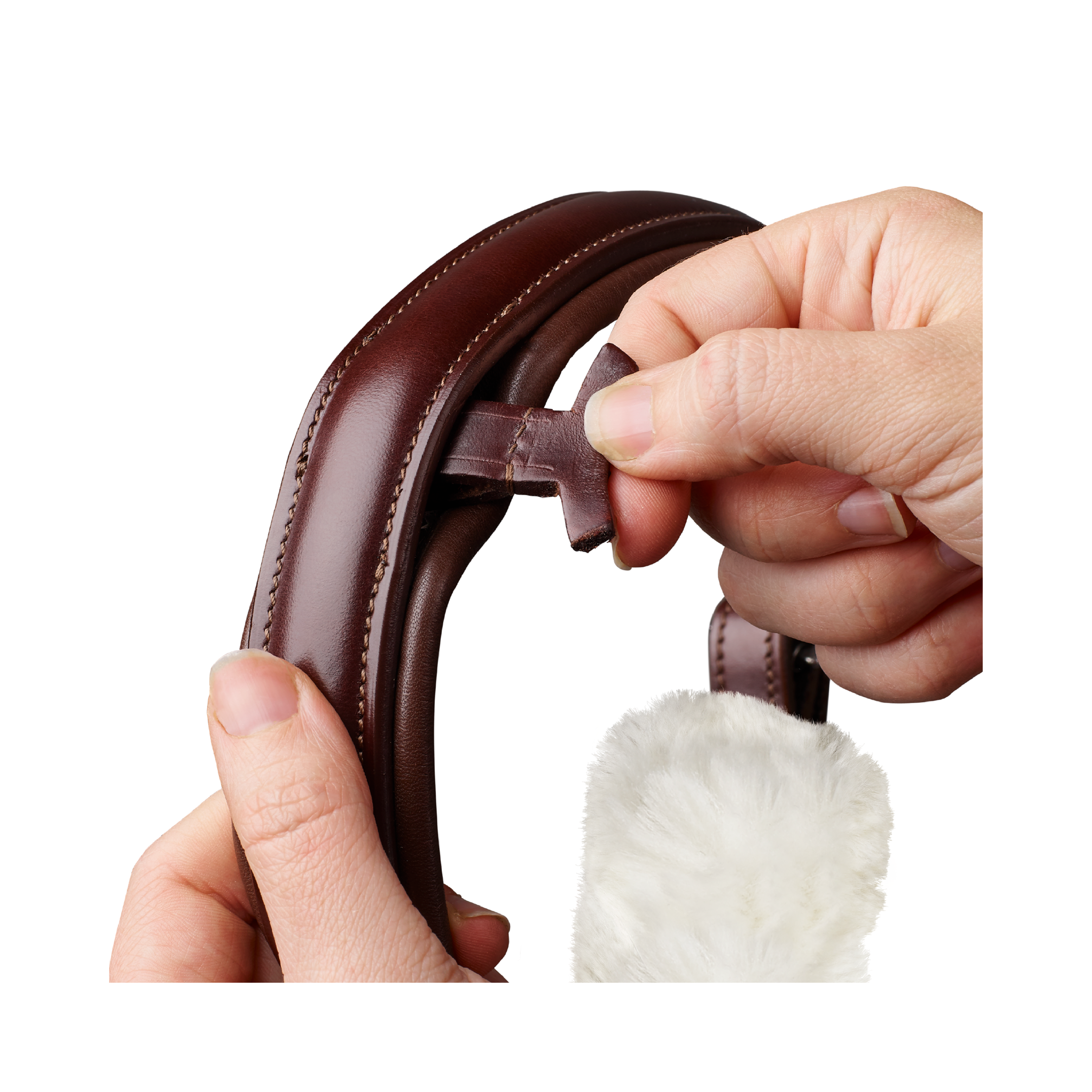 Arena Dressage Bridle